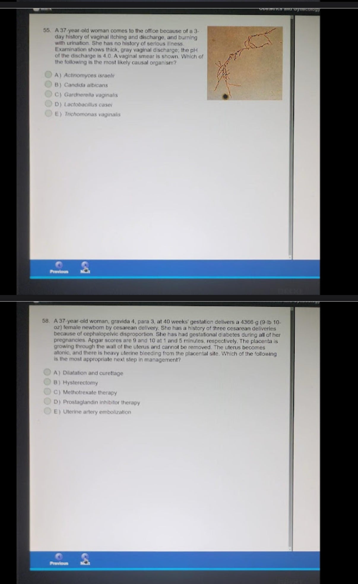 Conquer Your Gyne Obs Shelf Exam: 2024-2025 Recalls Package